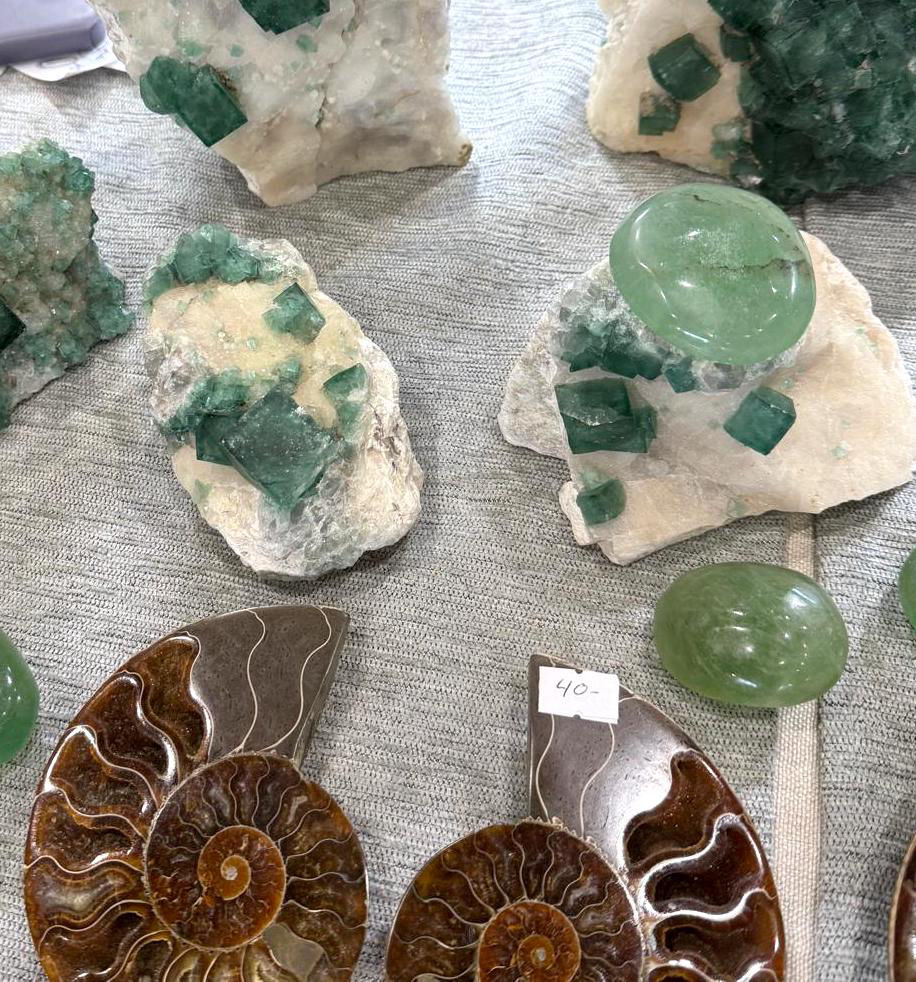tresorsnaturels.ch